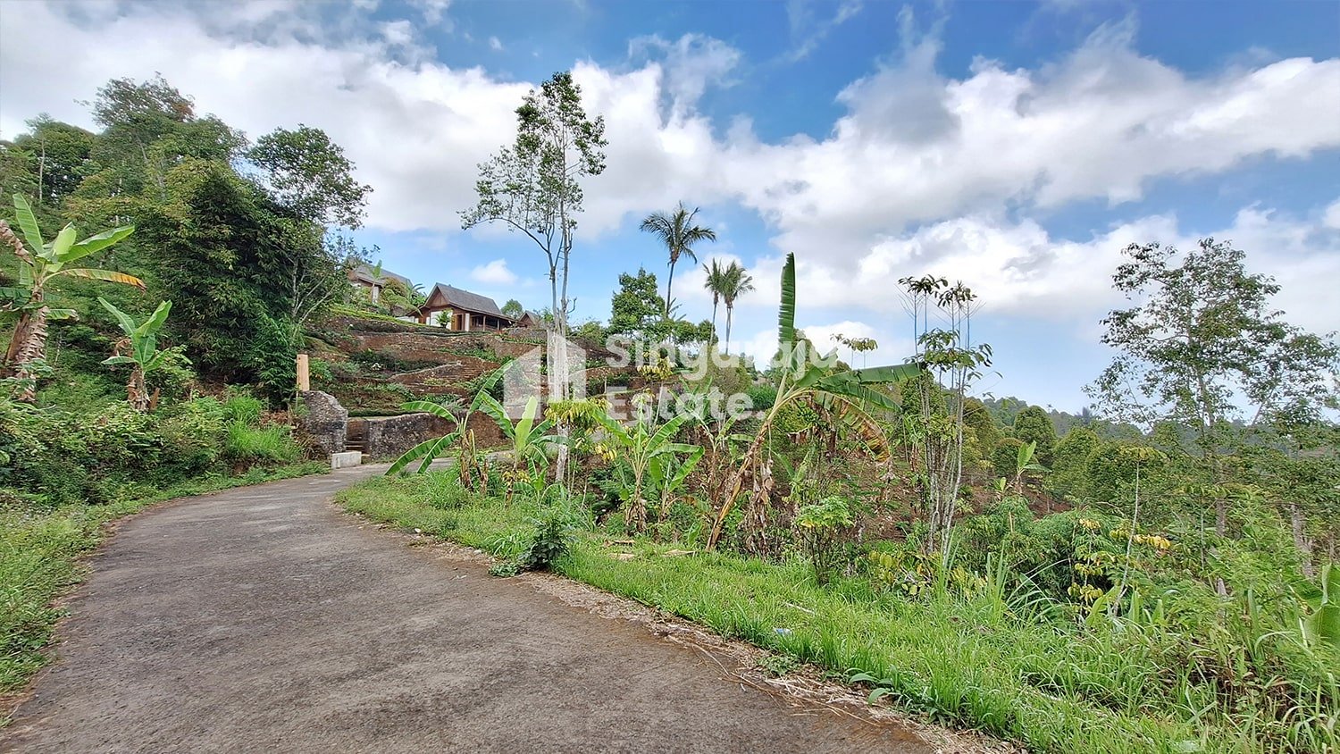 Tanah 5 Hektare View Laut di Dataran Tinggi Buleleng - Image 7